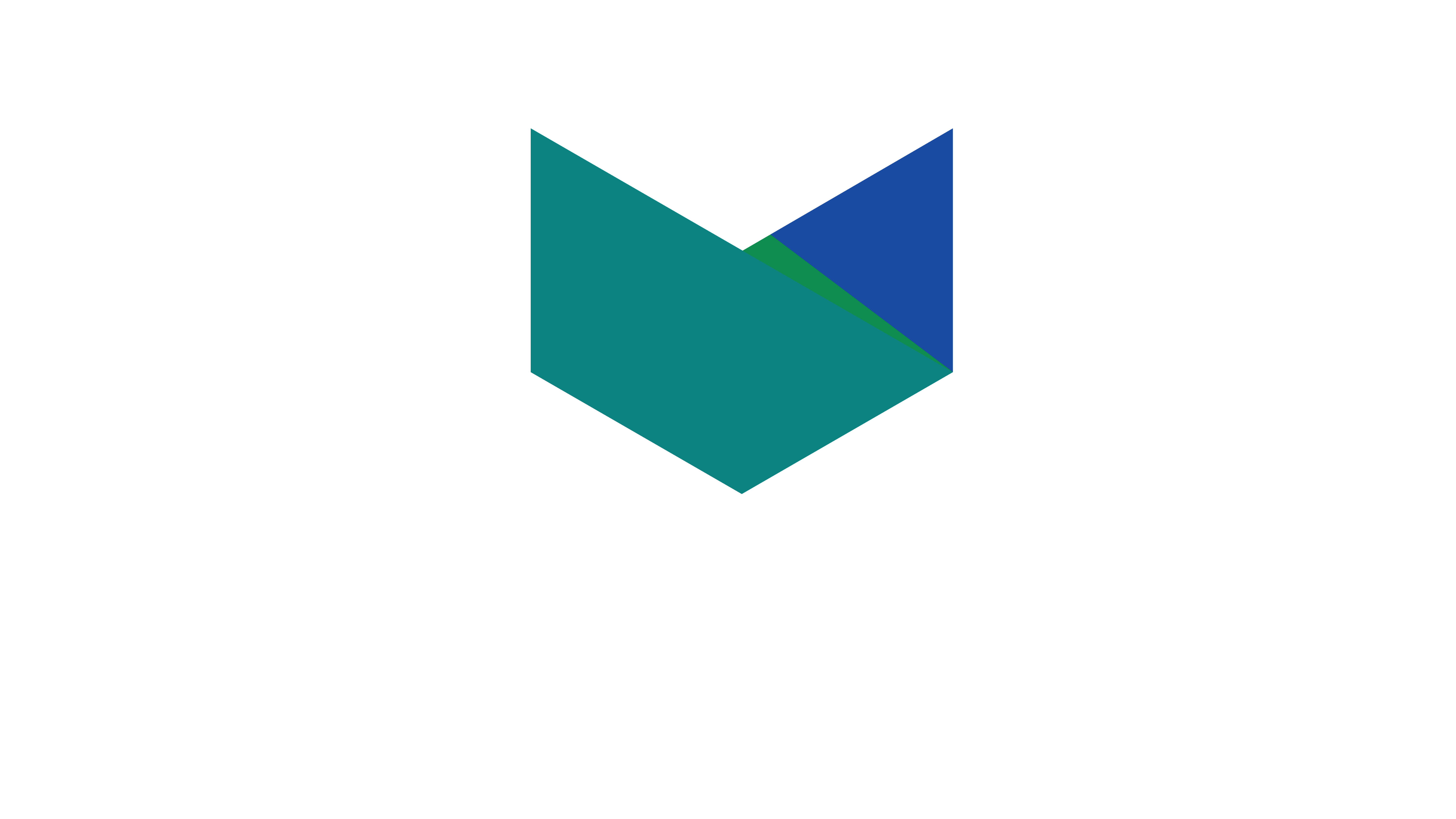 Savvy Logo