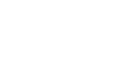 BDO Logo